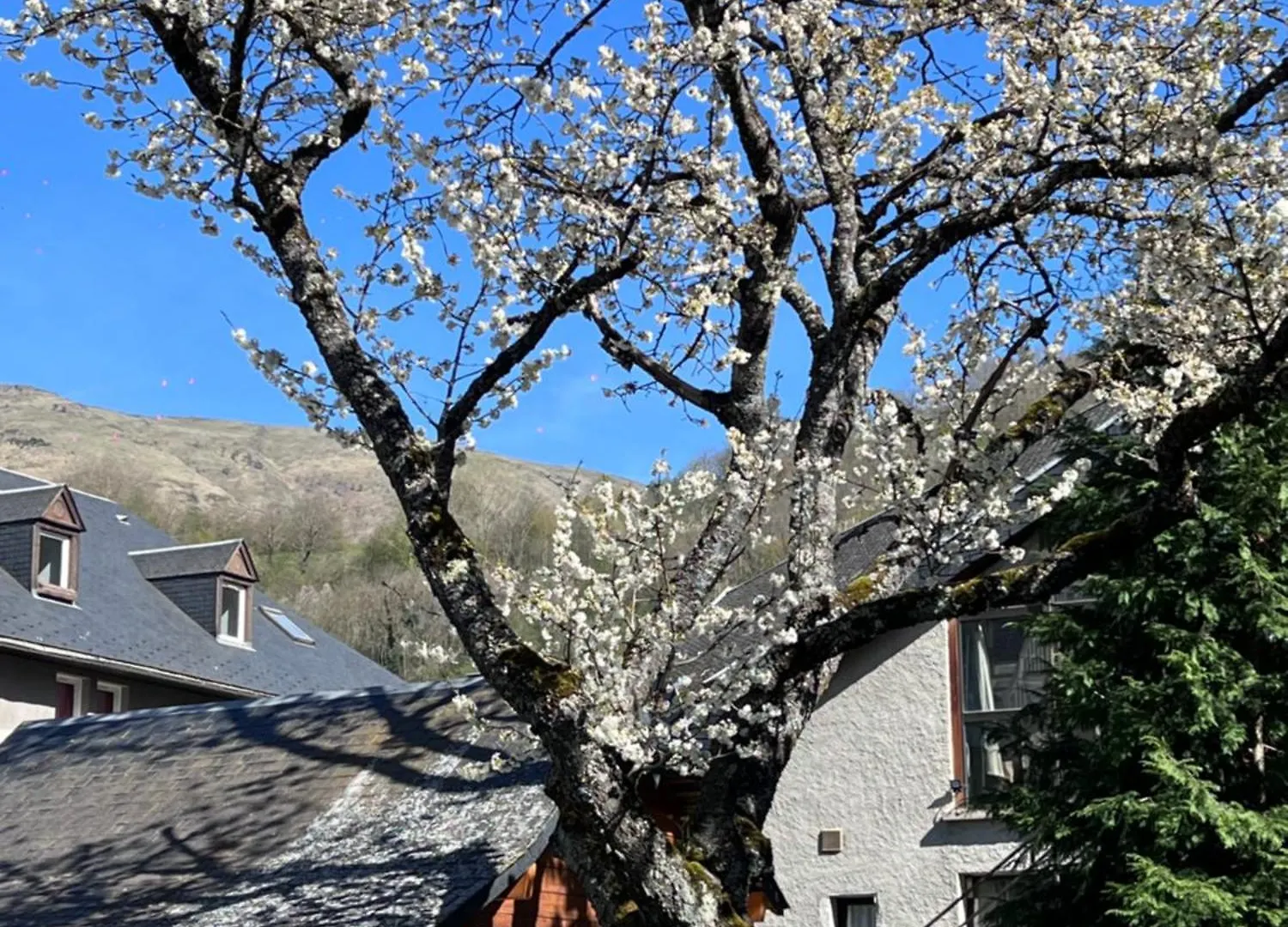 Apparts Au Coeur De St-Lary - Piscine Chauffee Et Sauna Saint-Lary-Soulan